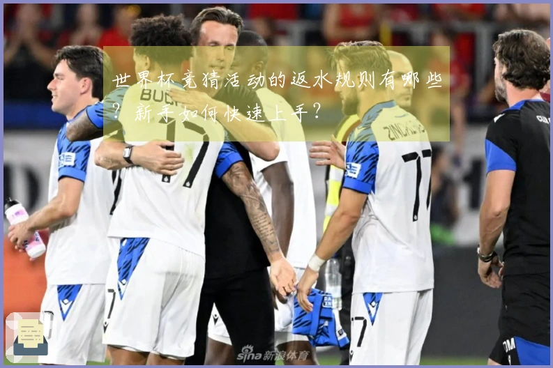 世界杯竞猜活动的返水规则有哪些？新手如何快速上手？