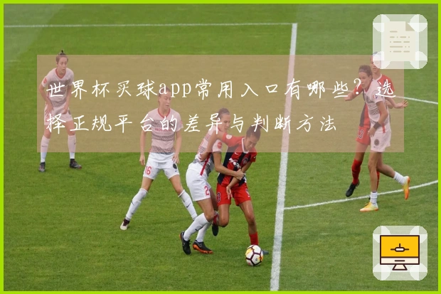 世界杯买球app常用入口有哪些？选择正规平台的差异与判断方法
