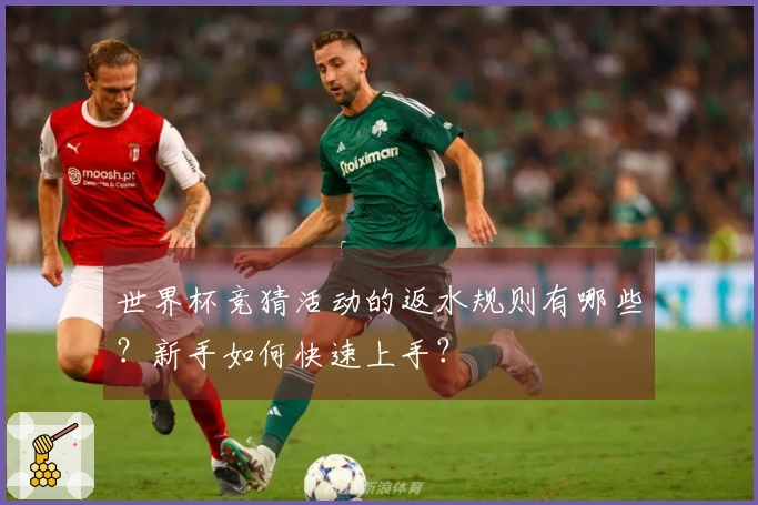 世界杯竞猜活动的返水规则有哪些？新手如何快速上手？