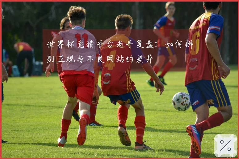 世界杯竞猜平台老手复盘：如何辨别正规与不良网站的差异